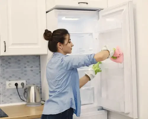 Fridge Cleaning