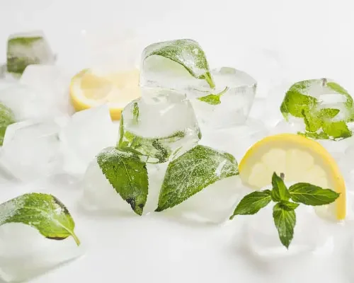 Ice Cubes for Garbage Disposal
