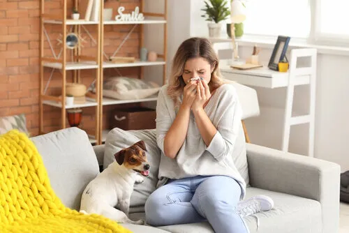 allergy house cleaning service