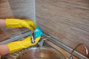 How can I clean my house professionally fast