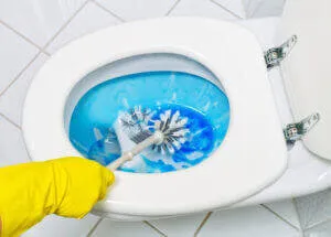 How do you clean a toilet bowl ring