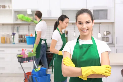 How do I sanitize my home air