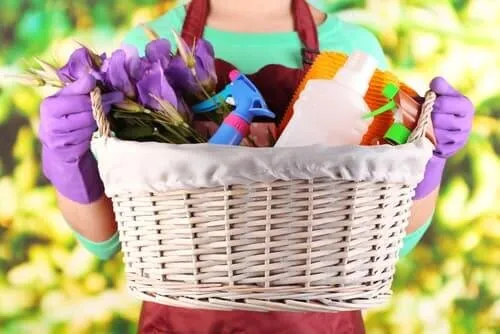 outdoor spring cleaning