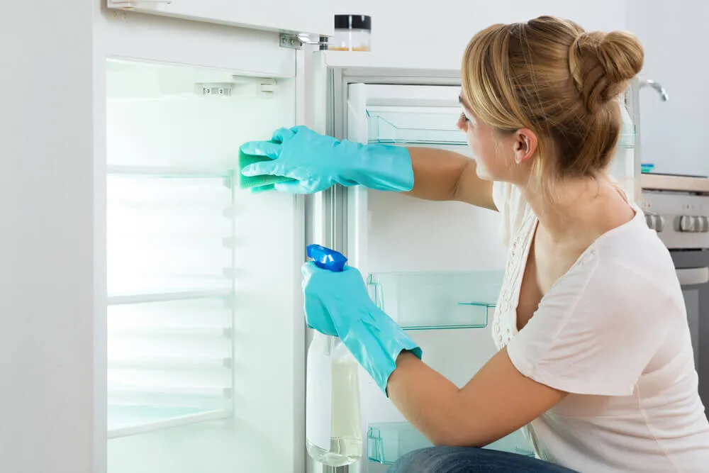 How do I clean and disinfect my refrigerator