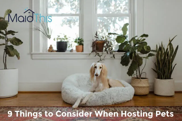 pet amenities