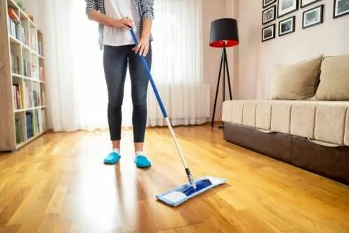Hire reputable house cleaning services in Pacific Palisades, CA today