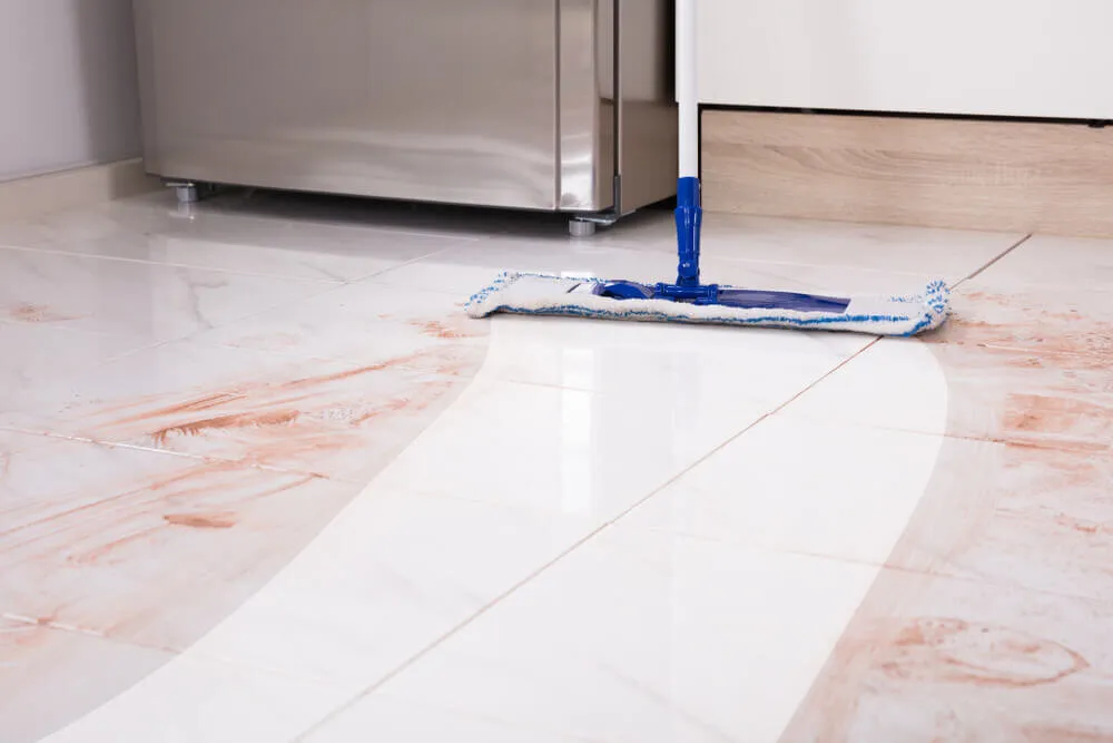Where in Pacific Palisades, CA, can I book detailed house cleaning services