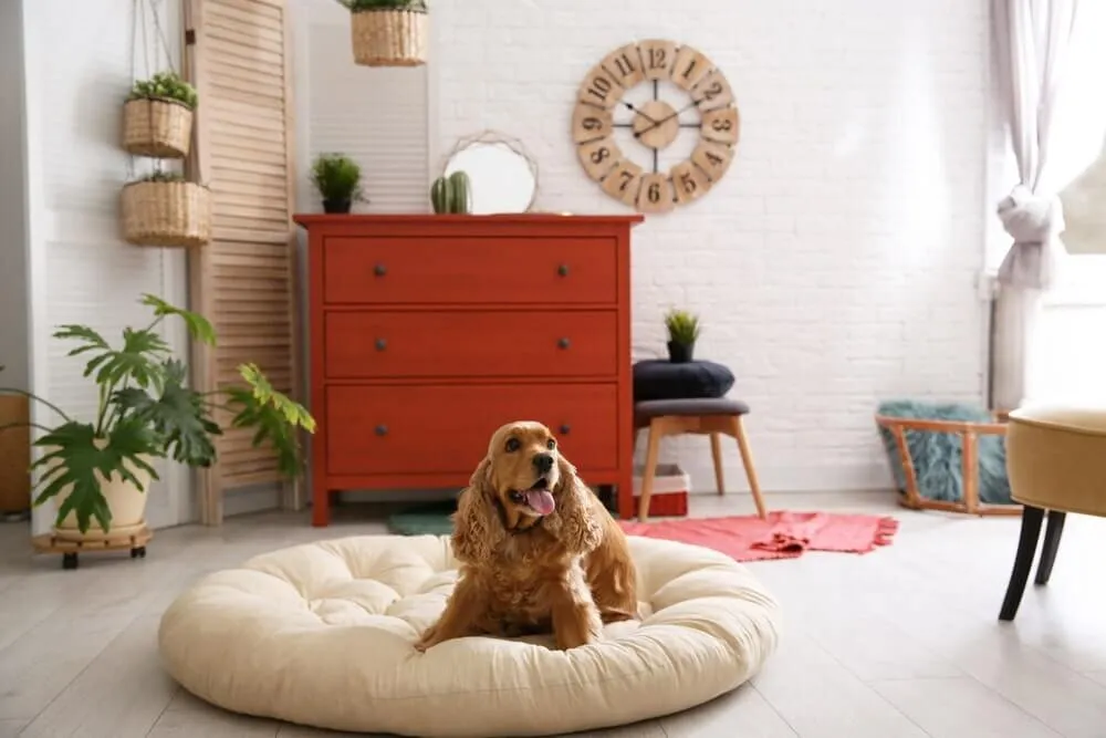 How do you keep your house smelling fresh when you have pets