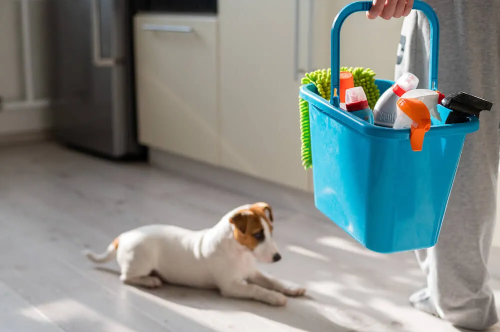 How often should you clean your house with pets