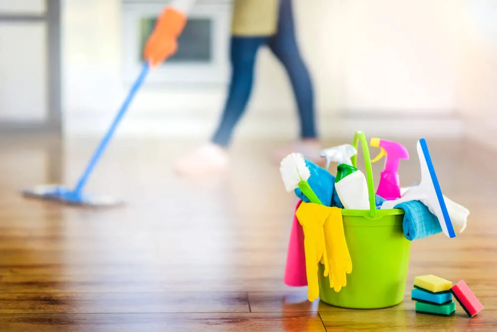 What are the different terms used in cleaning