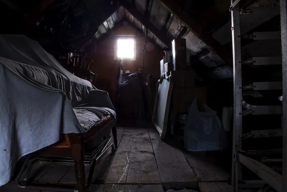 How do I get rid of the thick dust in my attic