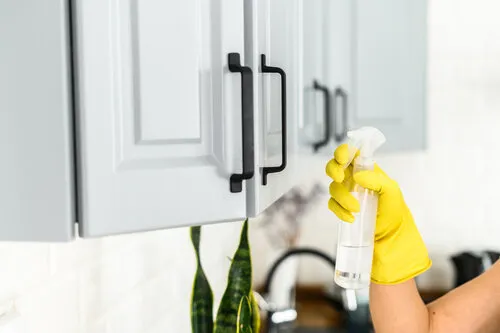 cleaning services culver city