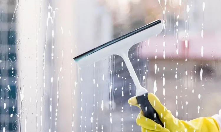 Glass Cleaner