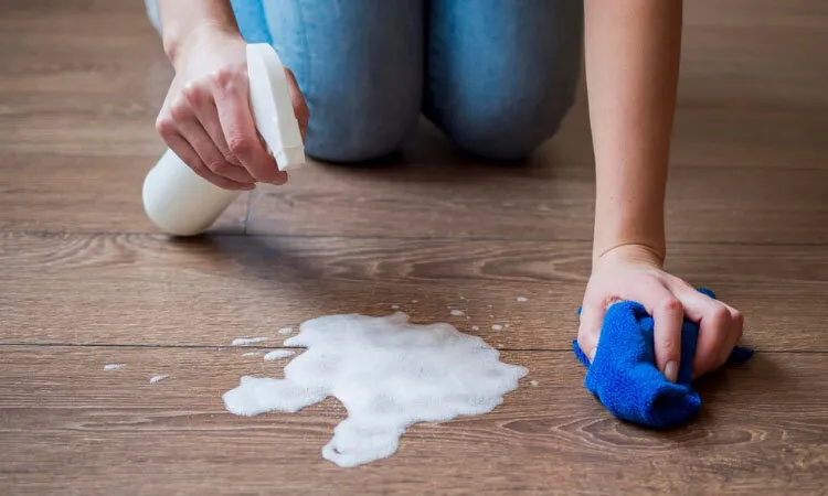 Deep Cleaning & Stain Removal