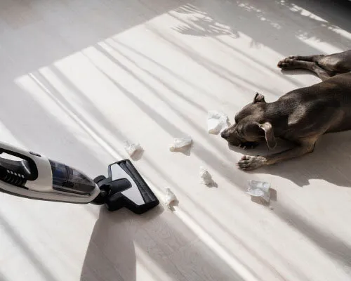 pet vacuum