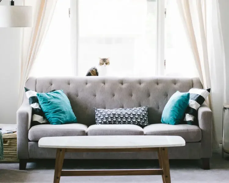 Clean Couch