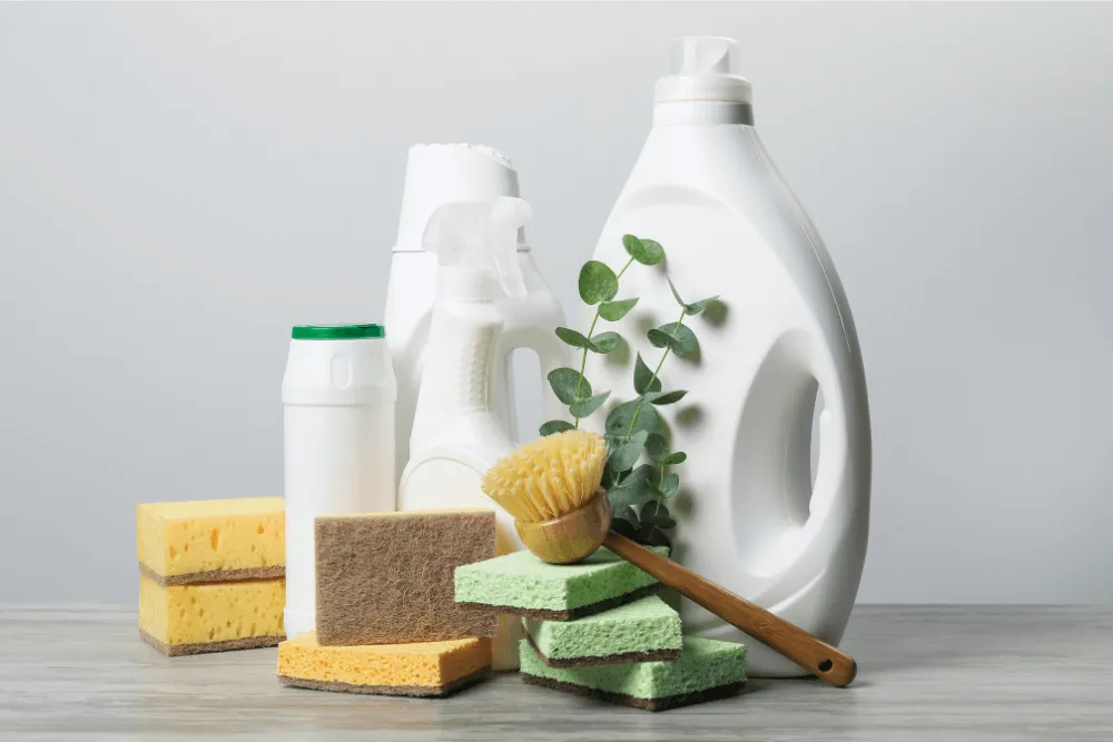 Eco-Friendly House Cleaning Los Angeles: Your Guide to Green Living