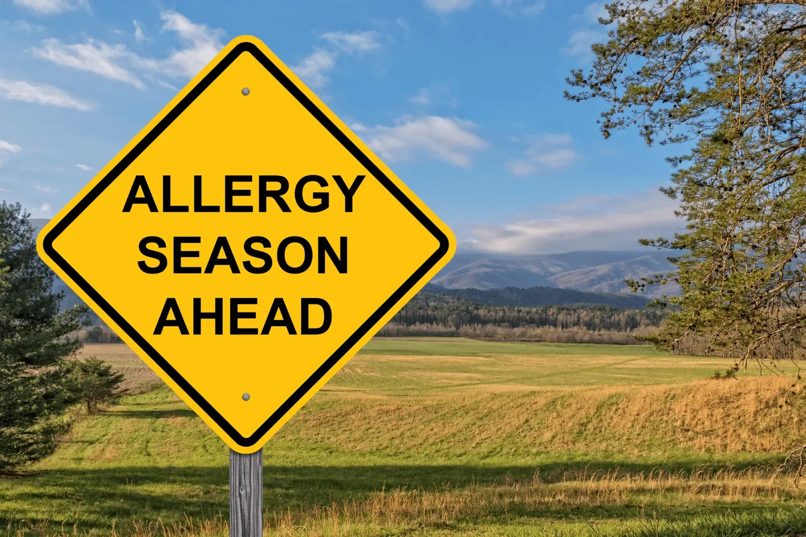 How to Protect Your LA Home from Seasonal Allergies Through Smart Cleaning