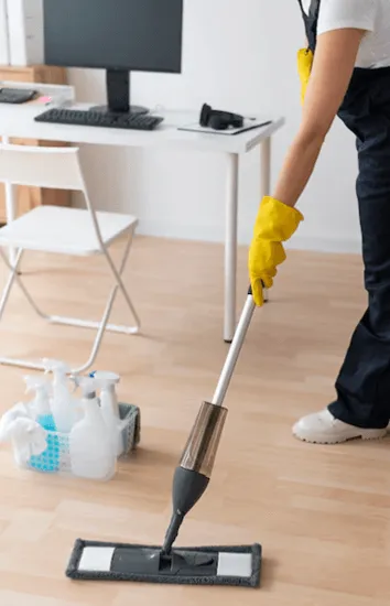 professional deep cleaning