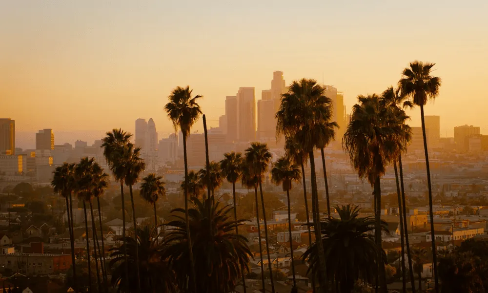 Fall in LA