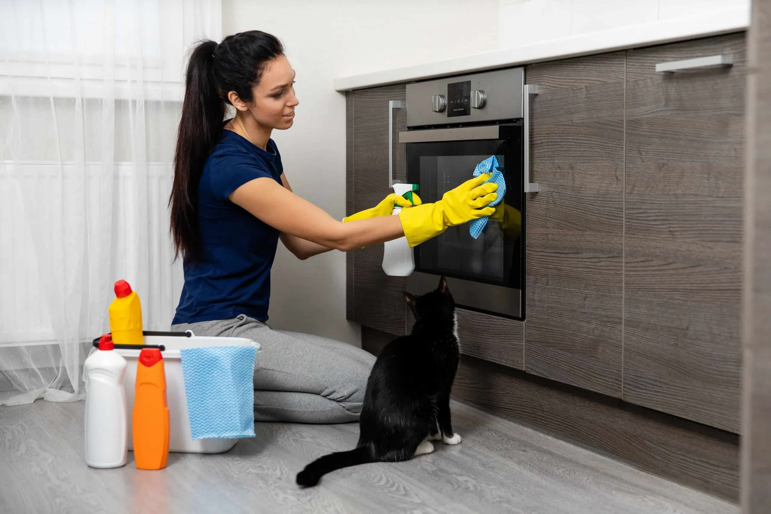 Professional Maid Services