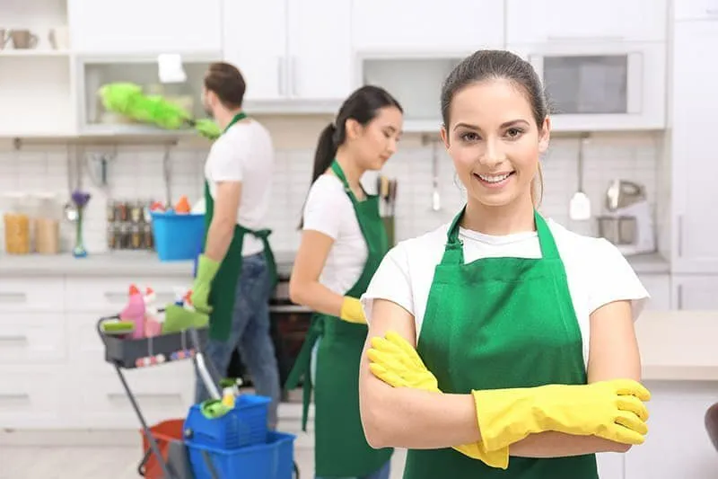 Maid Cleaning