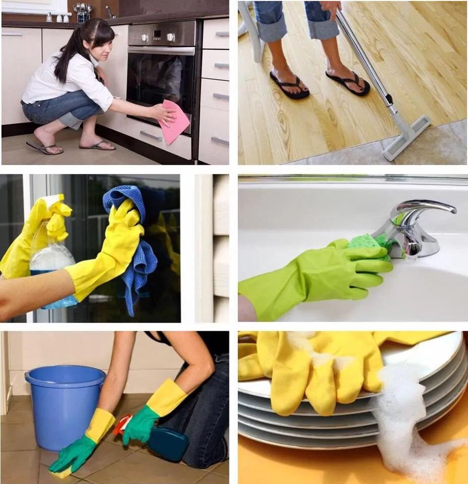 House Cleaning Services