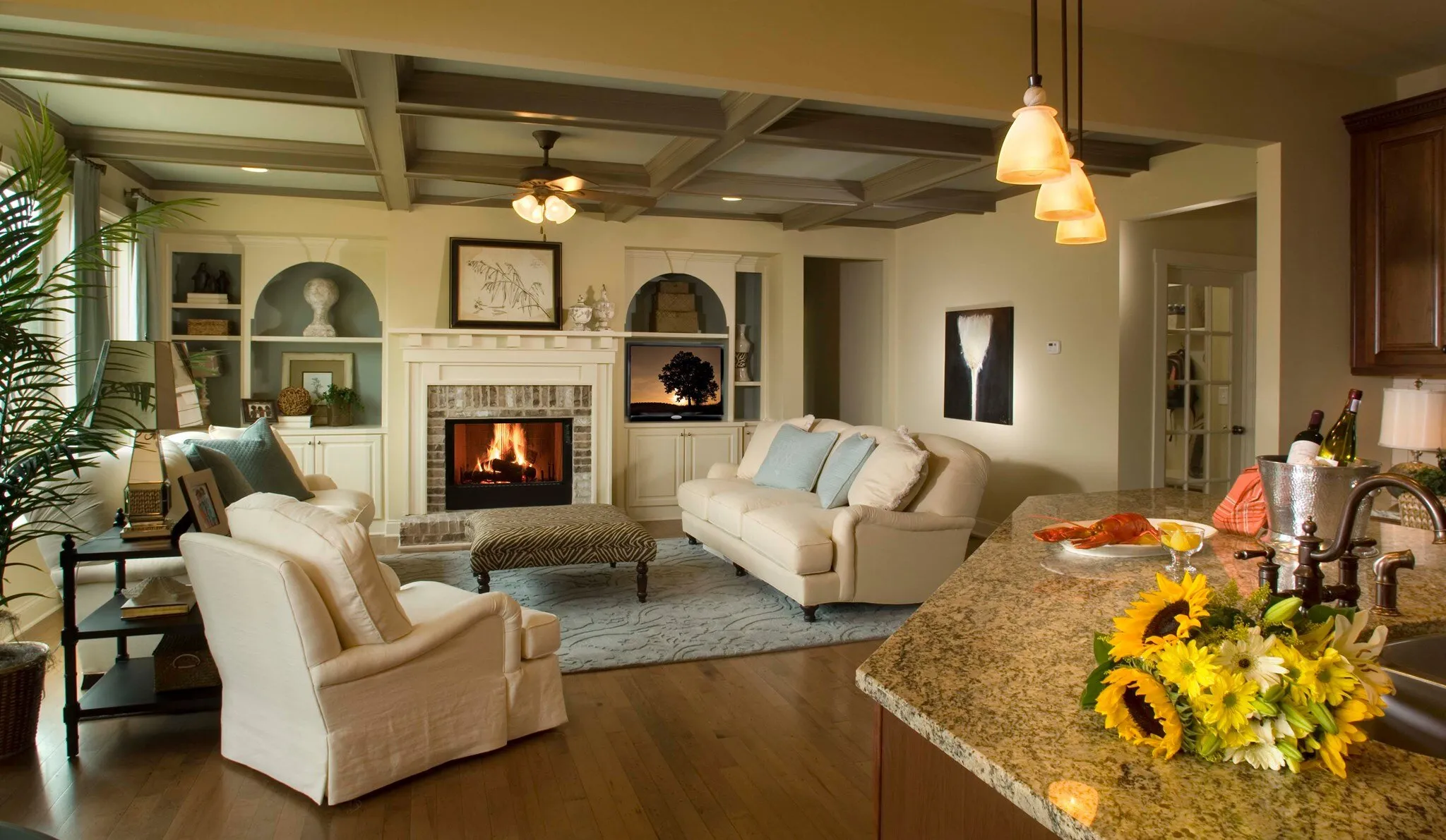 Residential House Cleaning Services
