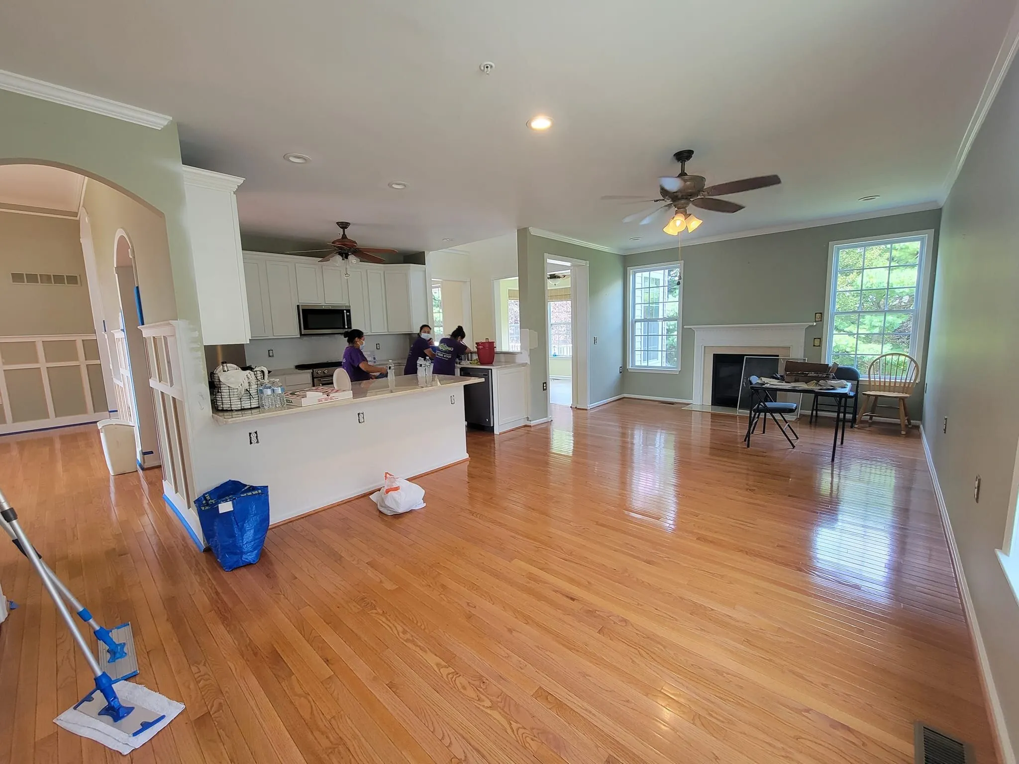 Professional House Cleaning