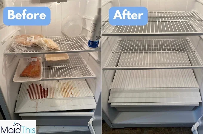 St. Petersburg & Clearwater refrigerator cleaning