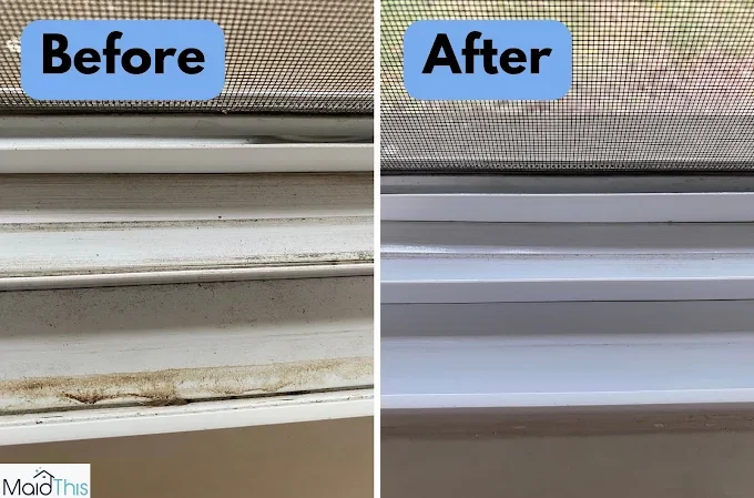 St. Petersburg & Clearwater before and after clean