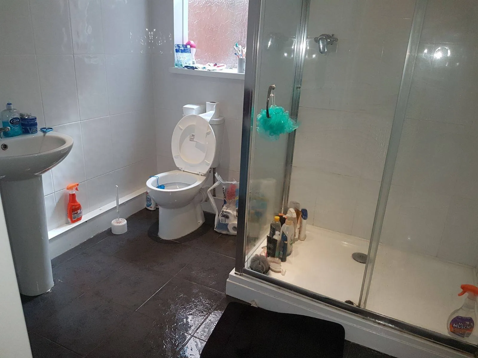 Bathroom Cleaning