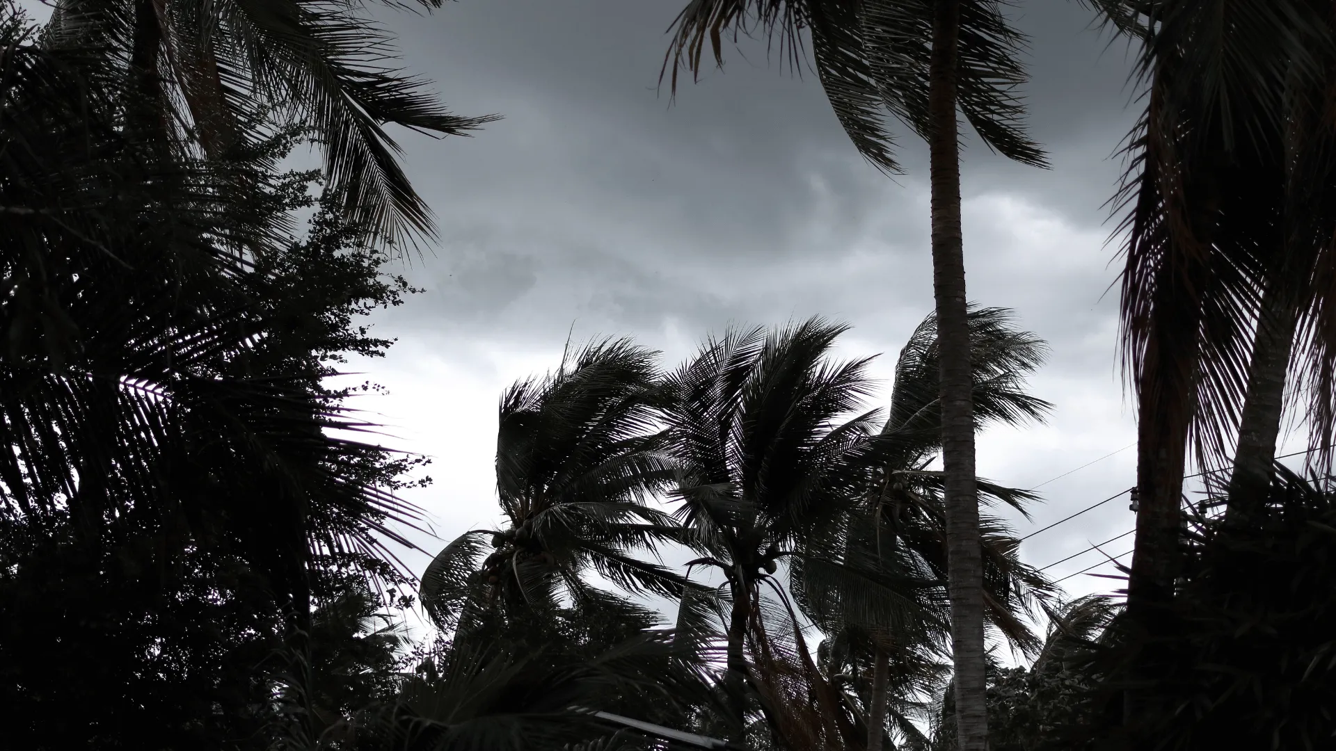 Hurricane Season Commercial Cleaning in Palm Beach County: Post-Storm Cleanup, Dry-Out Steps & Mold Prevention for Businesses