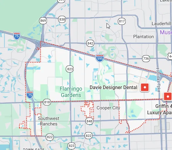 davie cleaning map