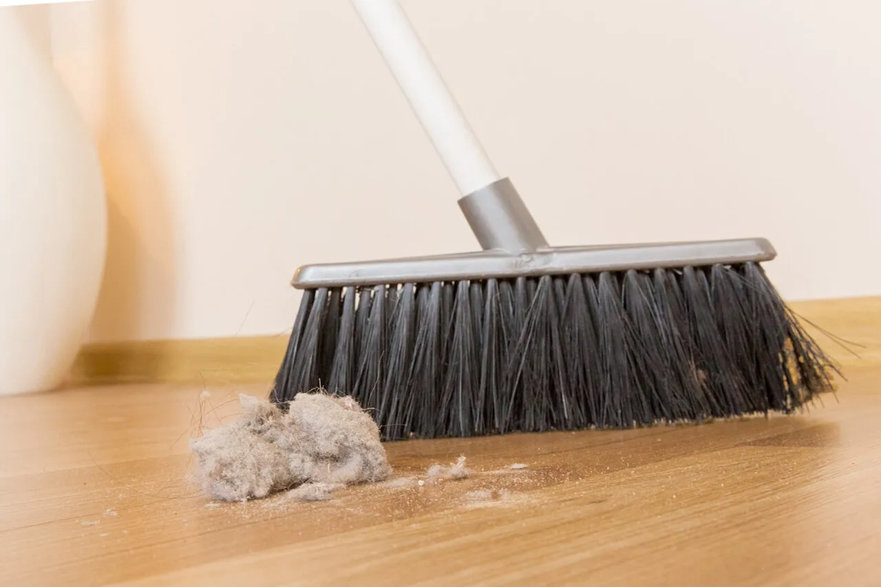 Professional House Cleaning Service