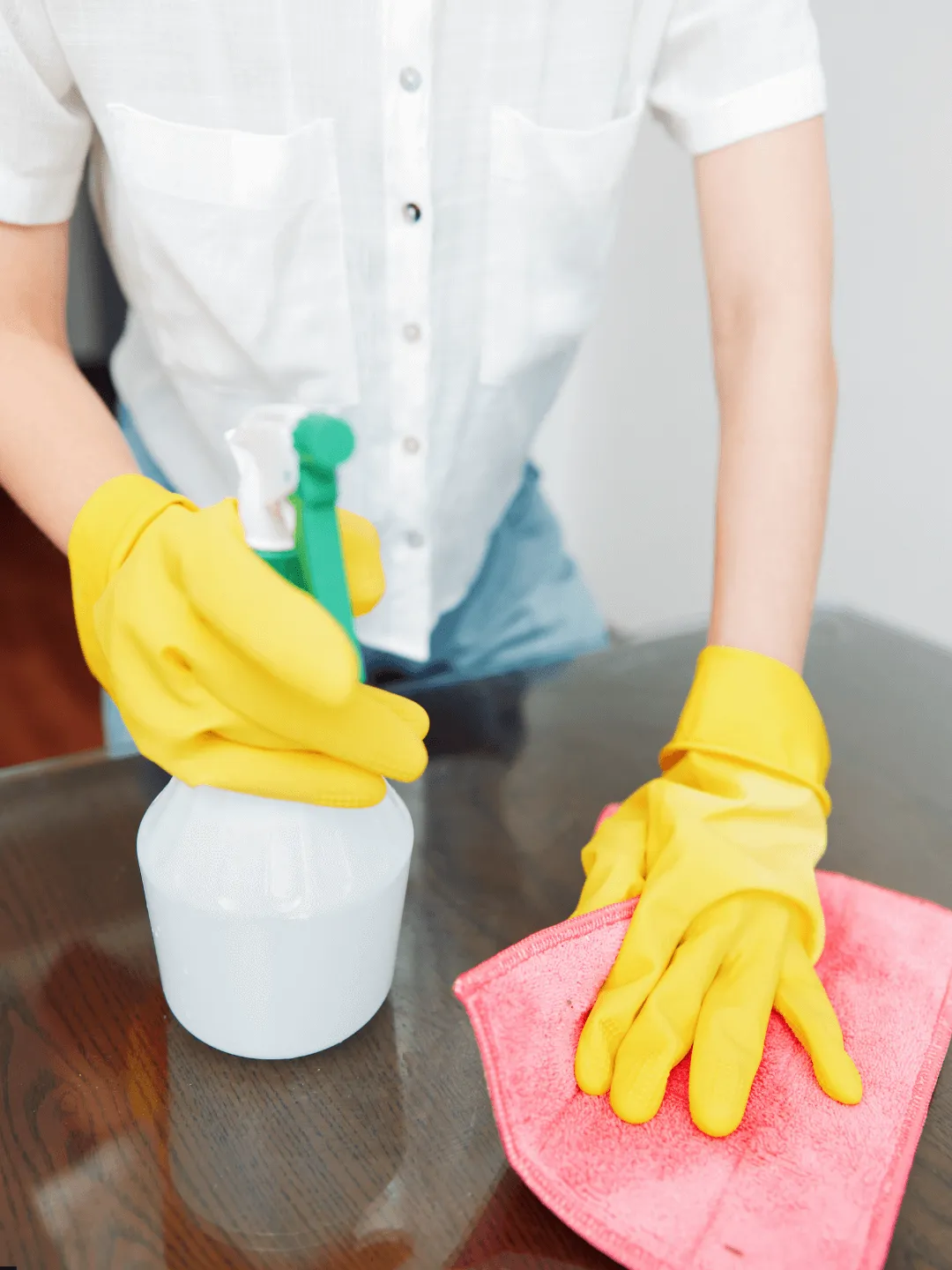 House & Commercial Cleaning Services in Wilmington