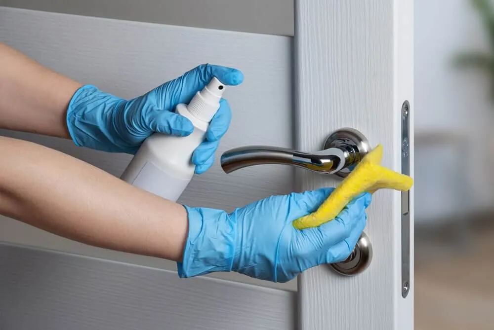 The Pros and Cons of Apartment Cleaning Services
