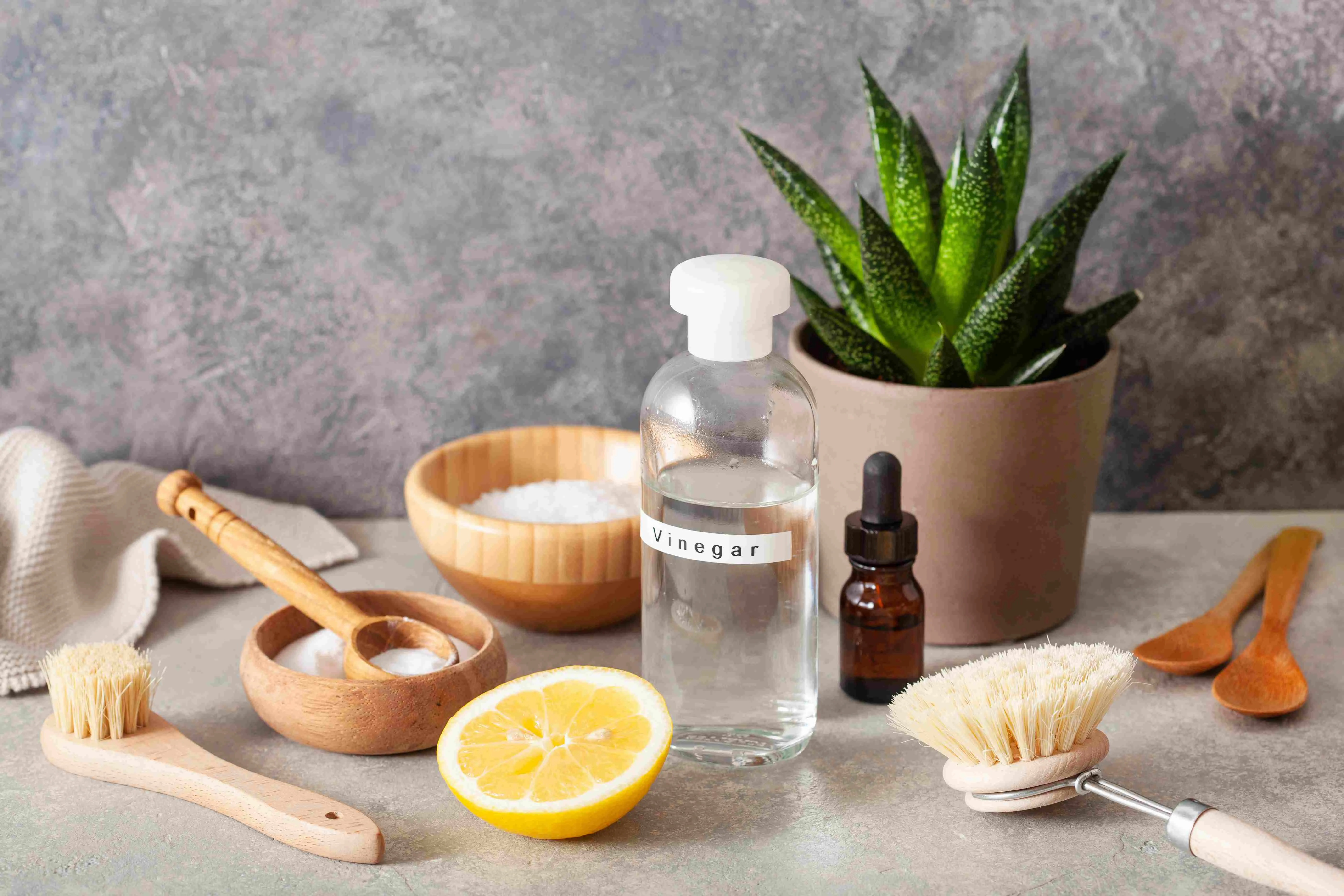 Clean Oven with Vinegar, Baking Soda and Lemon