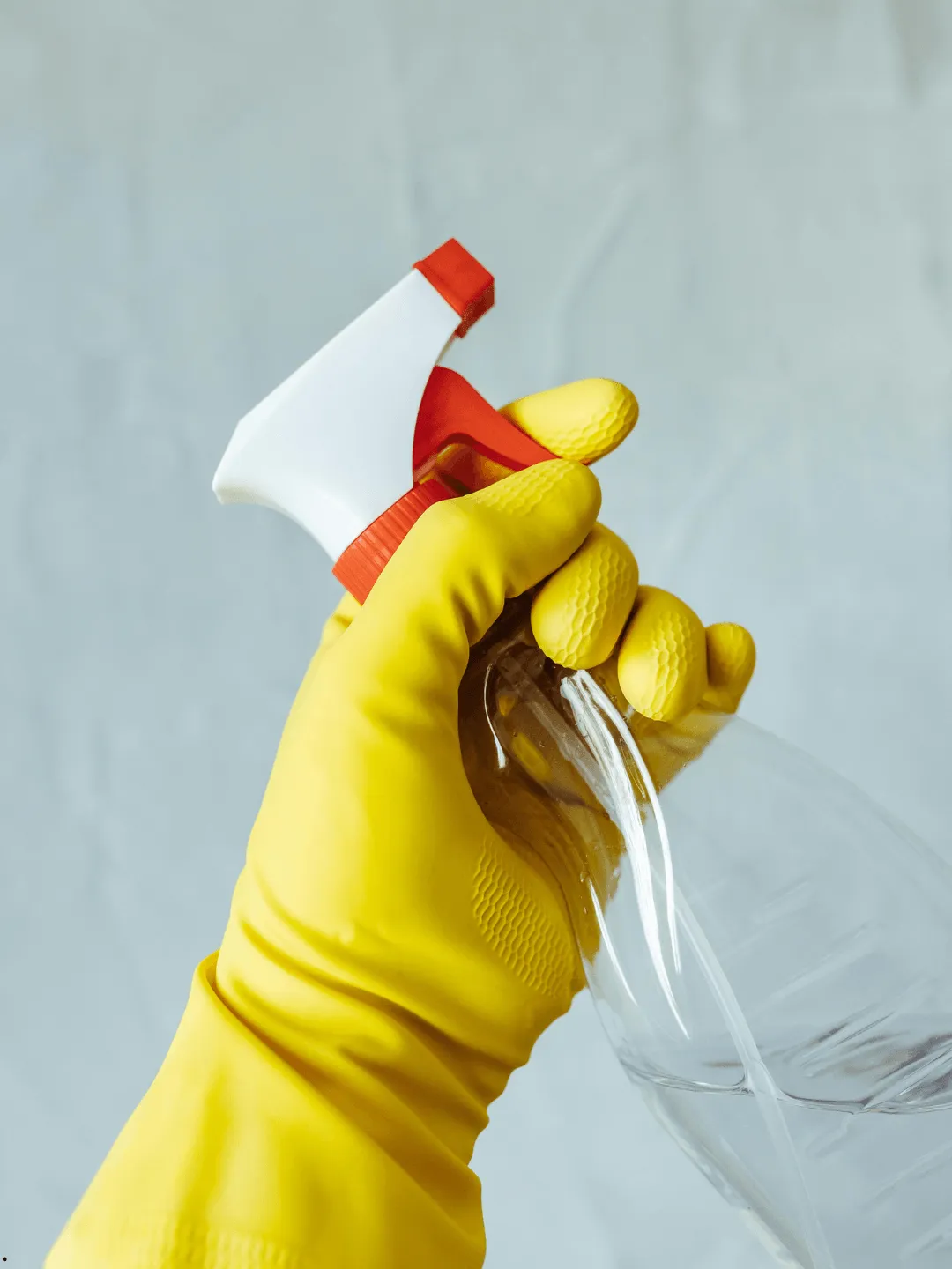 Same-Day Cleaning in Tampa: Fast, Reliable, and Stress-Free