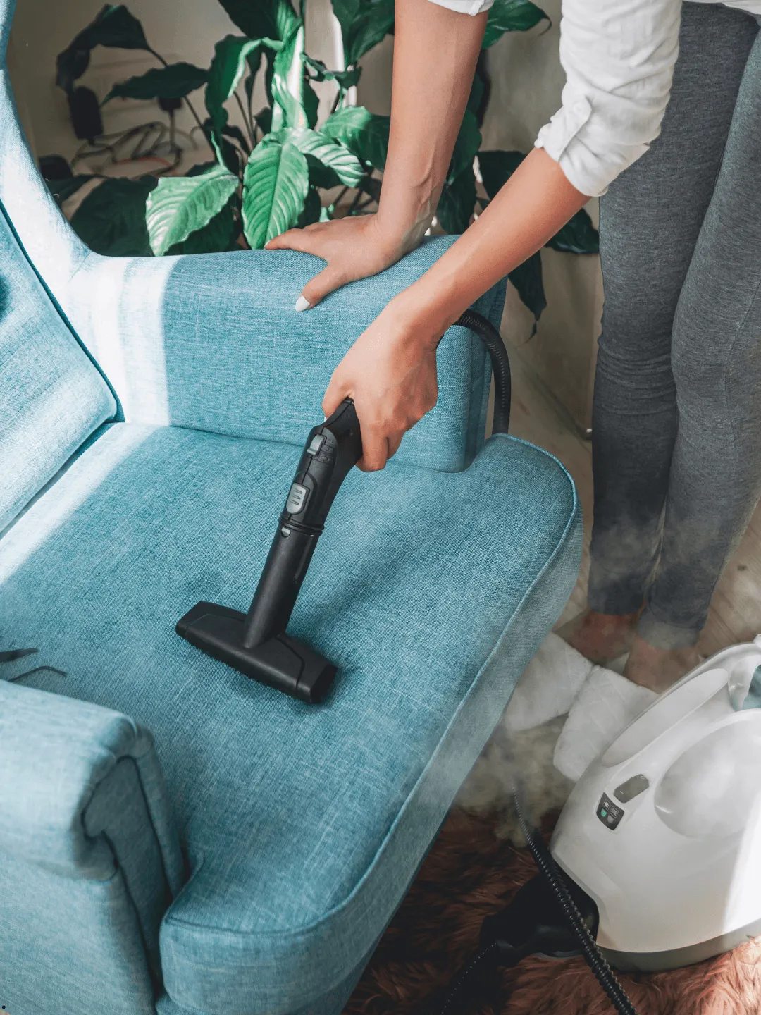 Airbnb & Rental Cleaning in Tampa: Reliable Turnovers, 5-Star Ready