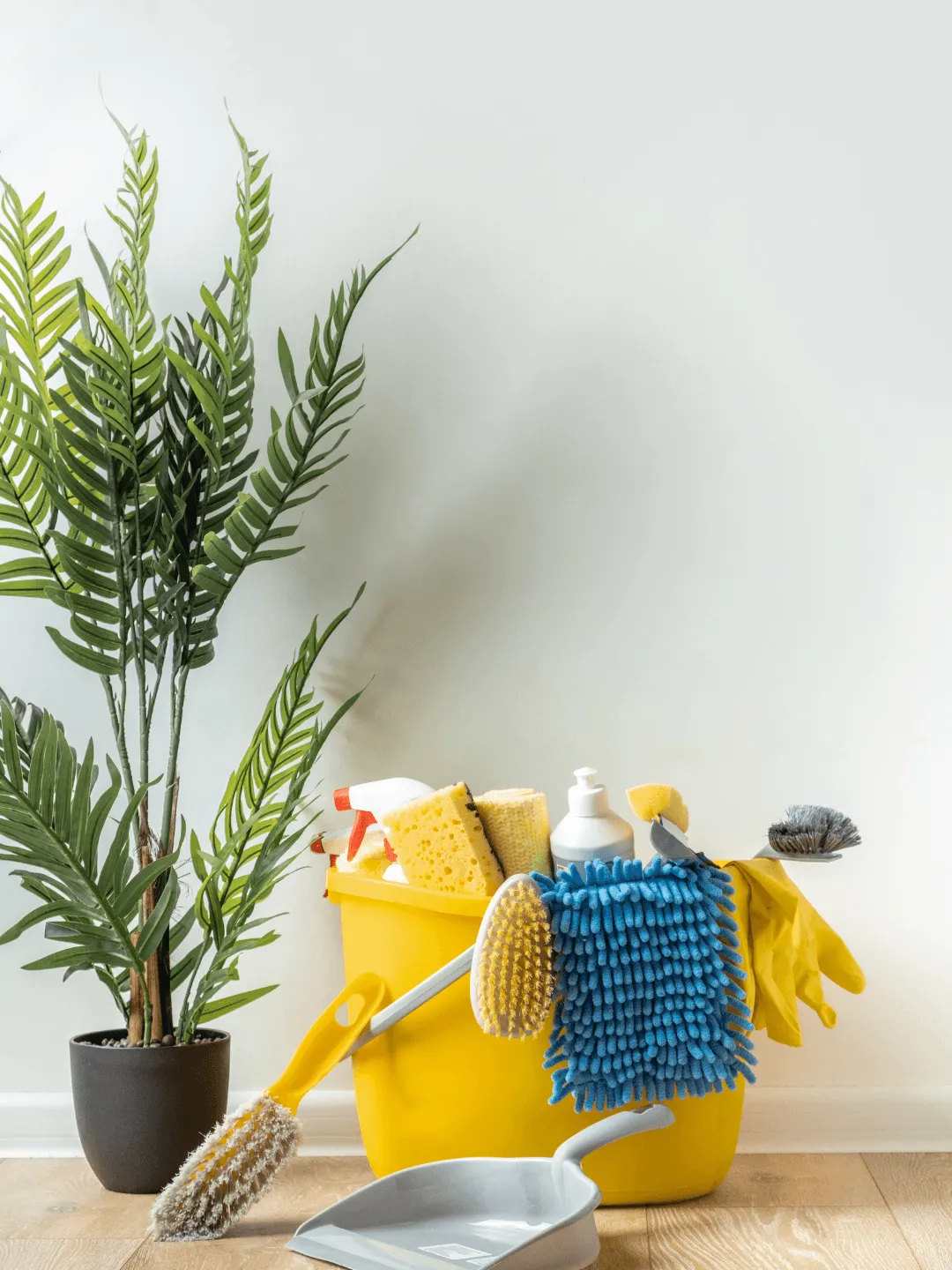 Weekly Cleaning in Alexandria for a Home or Workspace That Stays Consistently Clean