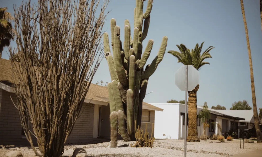 How to Get Rid of Dust in a House in Phoenix’s Desert Climate
