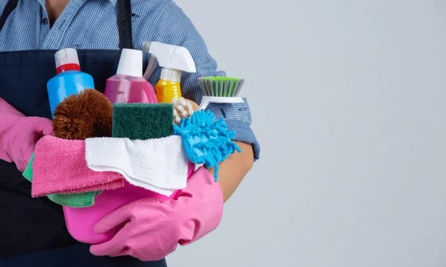 professional cleaning service in Spring Hill