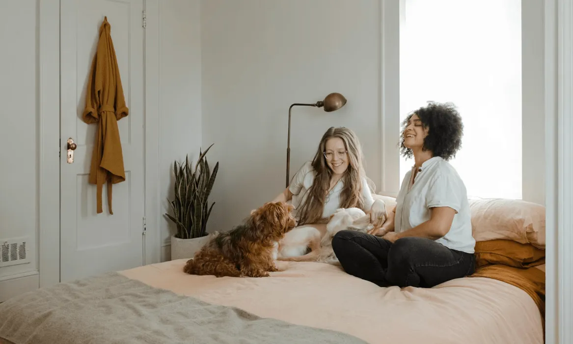 How to Get Rid of Dog Hair in Your Northwest Austin Home
