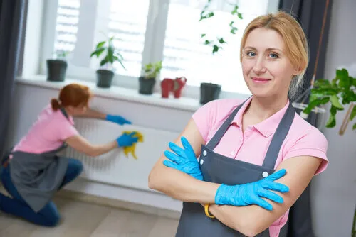 Rental Cleaning Service 